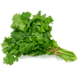 Coriander Leaves 1 Bunch