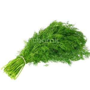 Dill Leaves 1 Bunch