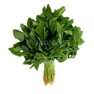 Spinach Leaves (Cheera) Green 1 Bunch