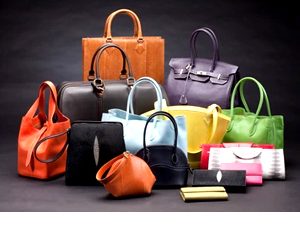 Hand Bags & Wallets