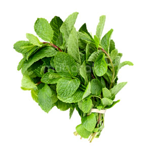 Mint Leaves 1 Bunch